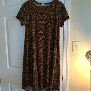 Cute Lularoe Carly